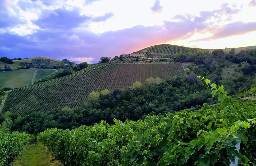 Agricola Lanciani-1